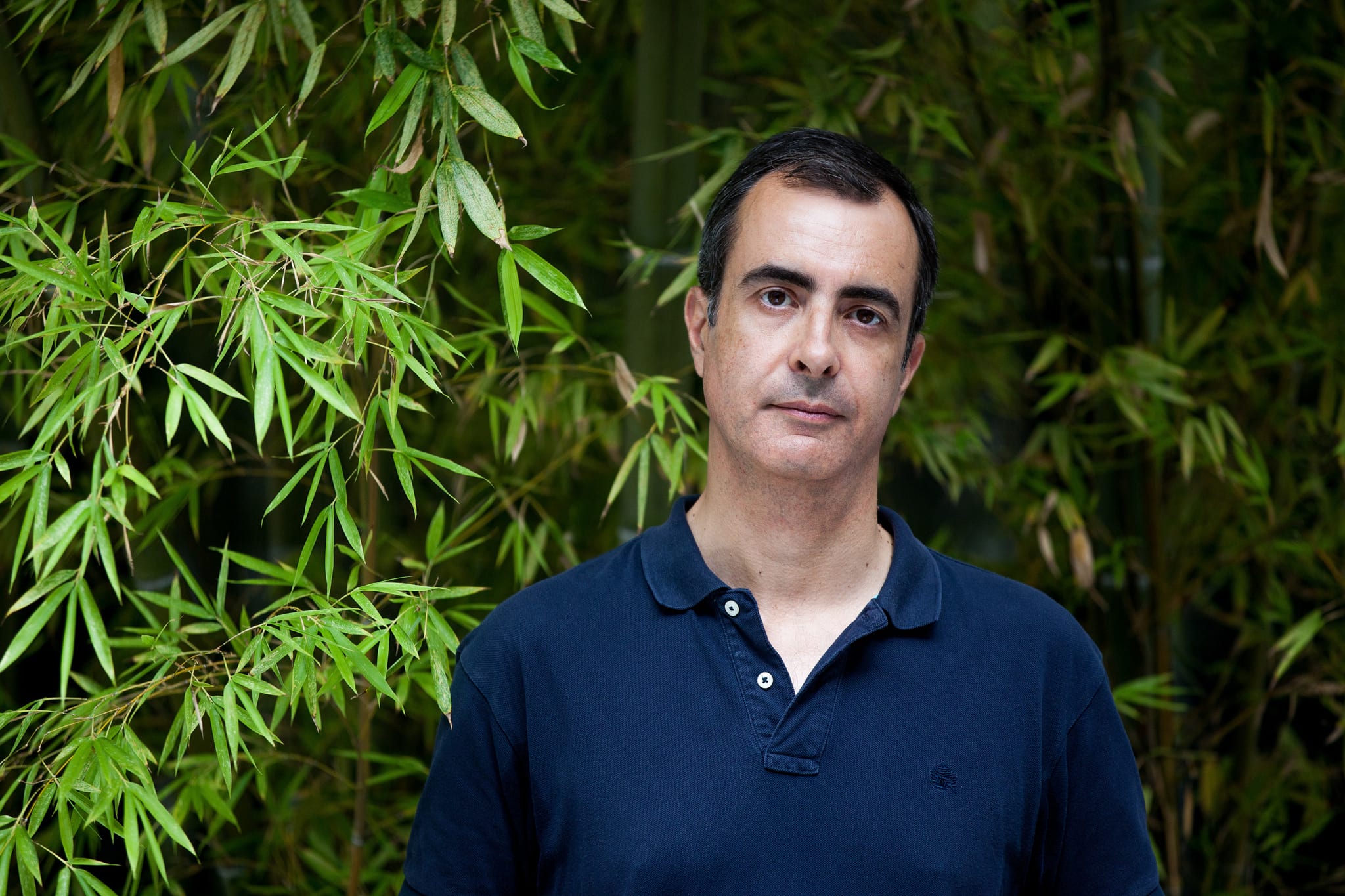Frederico Lourenço: Prémio Pessoa para o tradutor de Homero e da Bíblia ...