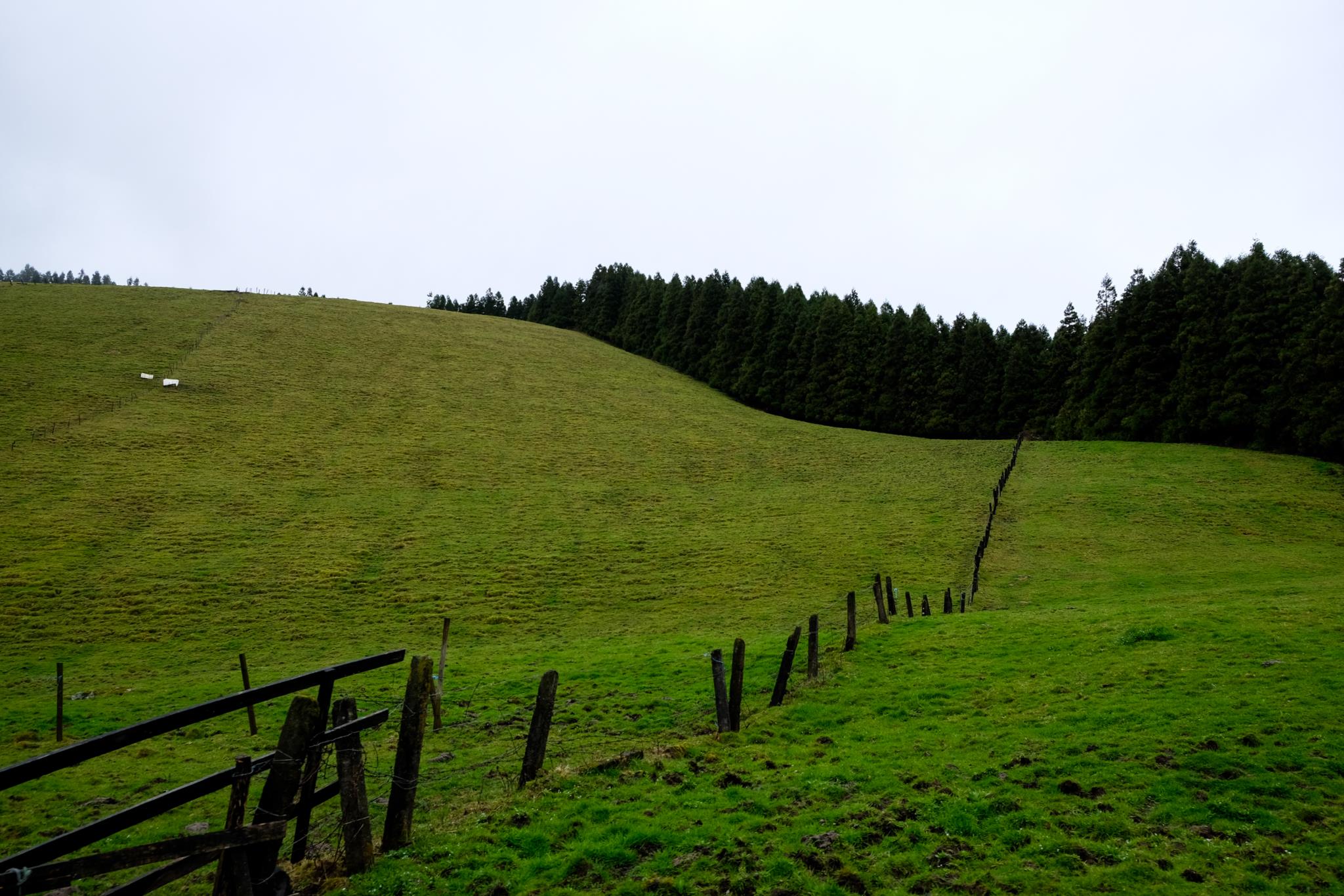 Portugal ensaia altos voos nos Açores - PÚBLICO
