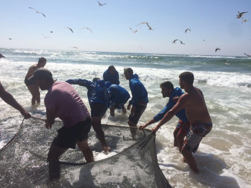 Resultado de imagem para pescador na rede golfinho