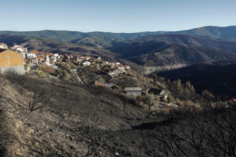 Resultado de imagem para Incêndios: Pampilhosa da Serra precisa de materiais de construção, árvores e sementes