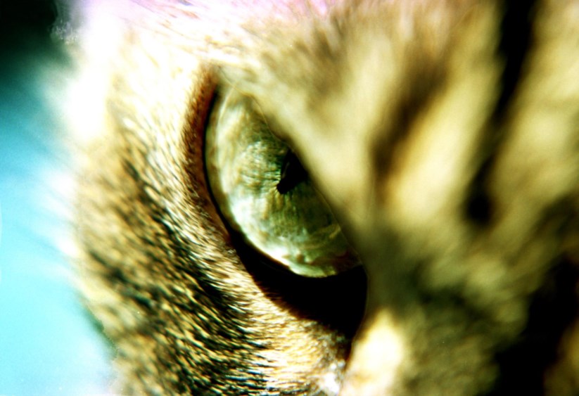 Nuno Santos/NUNO SANTOS