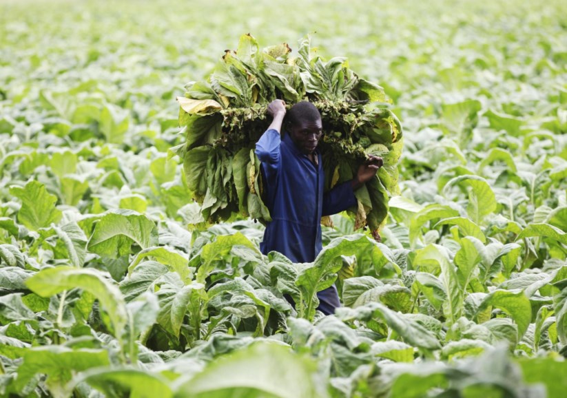 Reuters/PHILIMON BULAWAYO