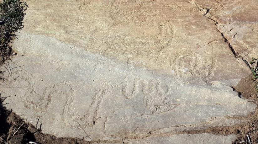 Resultado de imagem para Gravuras rupestres descobertas nas margens do Guadiana são do Calcolítico