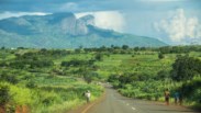 A Portucel, a eucaliptização de Moçambique e a “eliminação do uso tradicional da floresta”