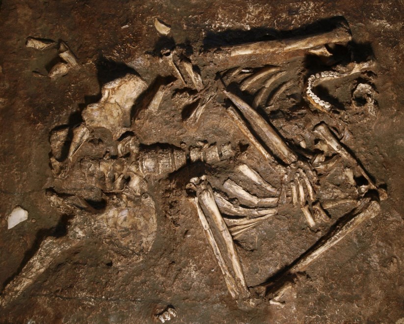 Resultado de imagem para tÃ³rax dos neandertais sugere que tinham um mecanismo respiratÃ³rio diferente do nosso