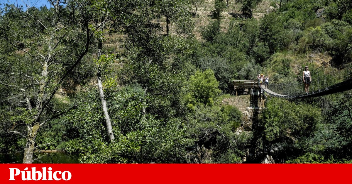 Arouca é o município do ano pelo seu geoparque