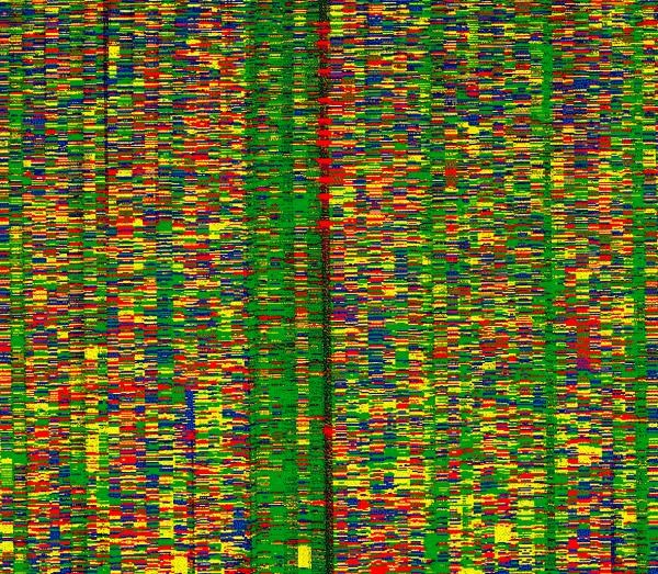 O mapa das letras que compõem o código genético humano
REUTERS