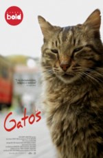 Imagem Cartaz Filme