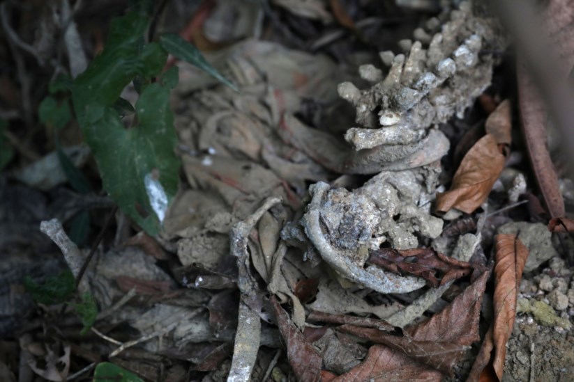 PÚBLICO - Ossadas na vala comum em Inn Din. Algumas destas imagens foram tiradas pelo jornalista Wa Lone e mostradas a peritos forenses, que identificaram partes de esqueleto humano