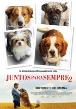 Imagem Cartaz Filme