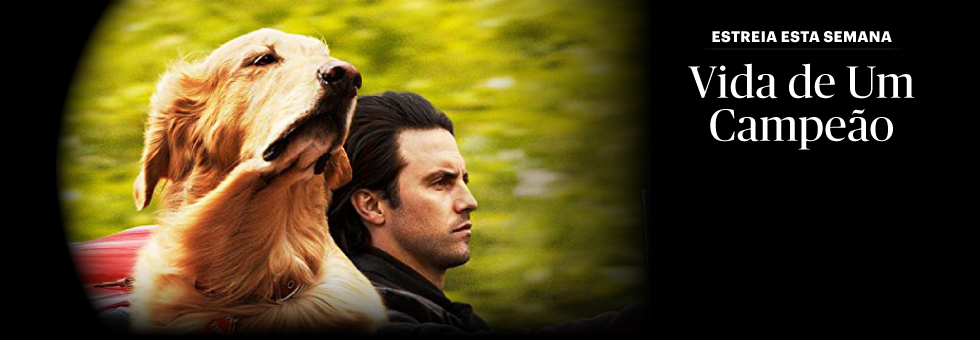 Cartaz do Filme