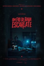 Imagem Cartaz Filme
