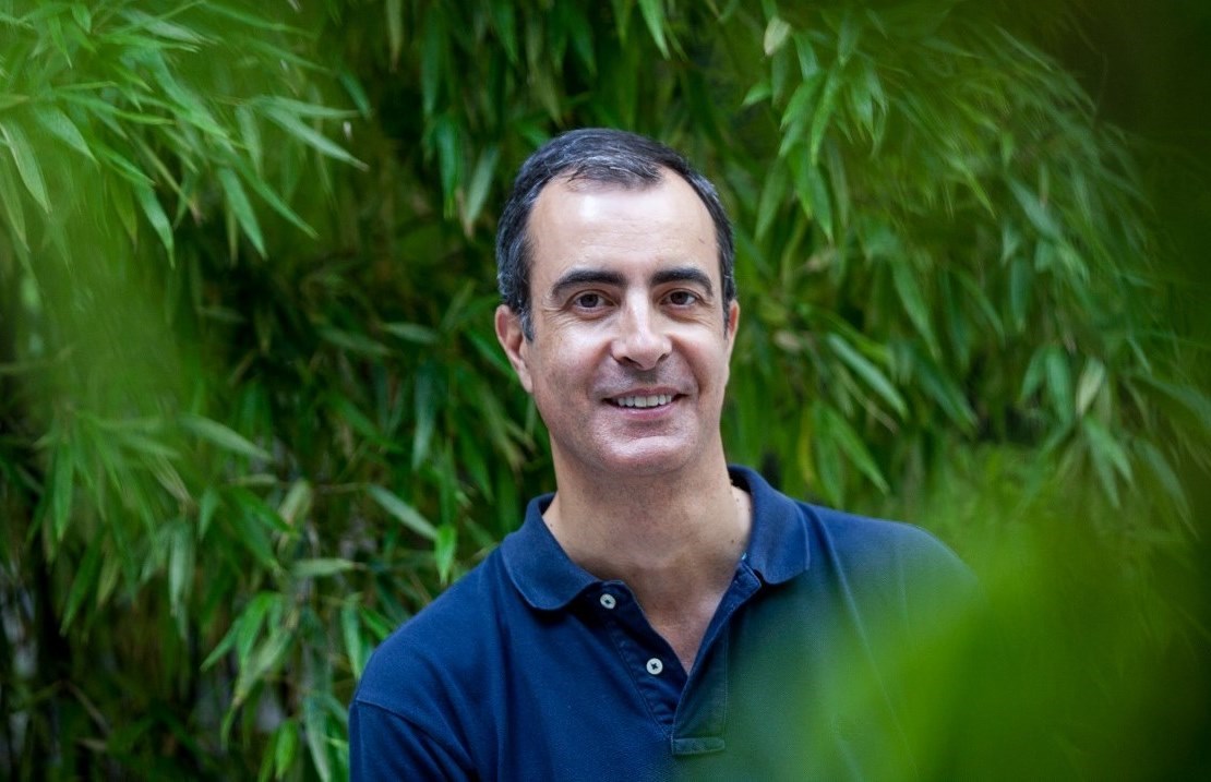 Pode um Desejo Imenso by Frederico Lourenço Pode um Desejo Imenso by Frederico Lourenço